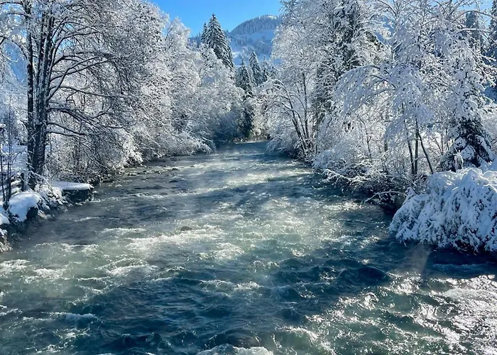 Alpehytte Gstaad Chalet